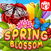 Spring Flowers